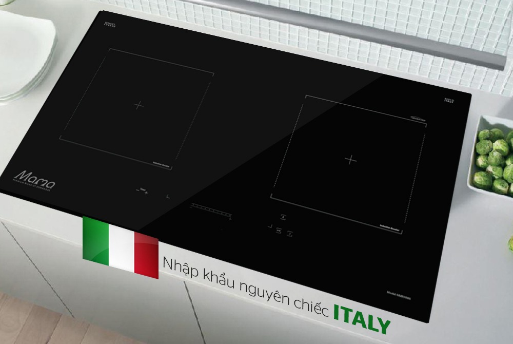 Bếp Từ Sunhouse MMB9988