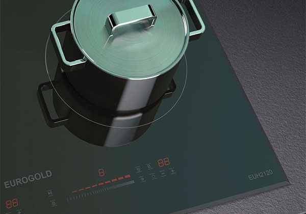 Bếp từ đôi Eurogold EUH2120