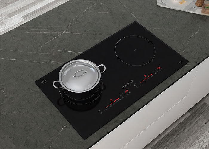 Bếp từ đôi Eurogold EUH2120