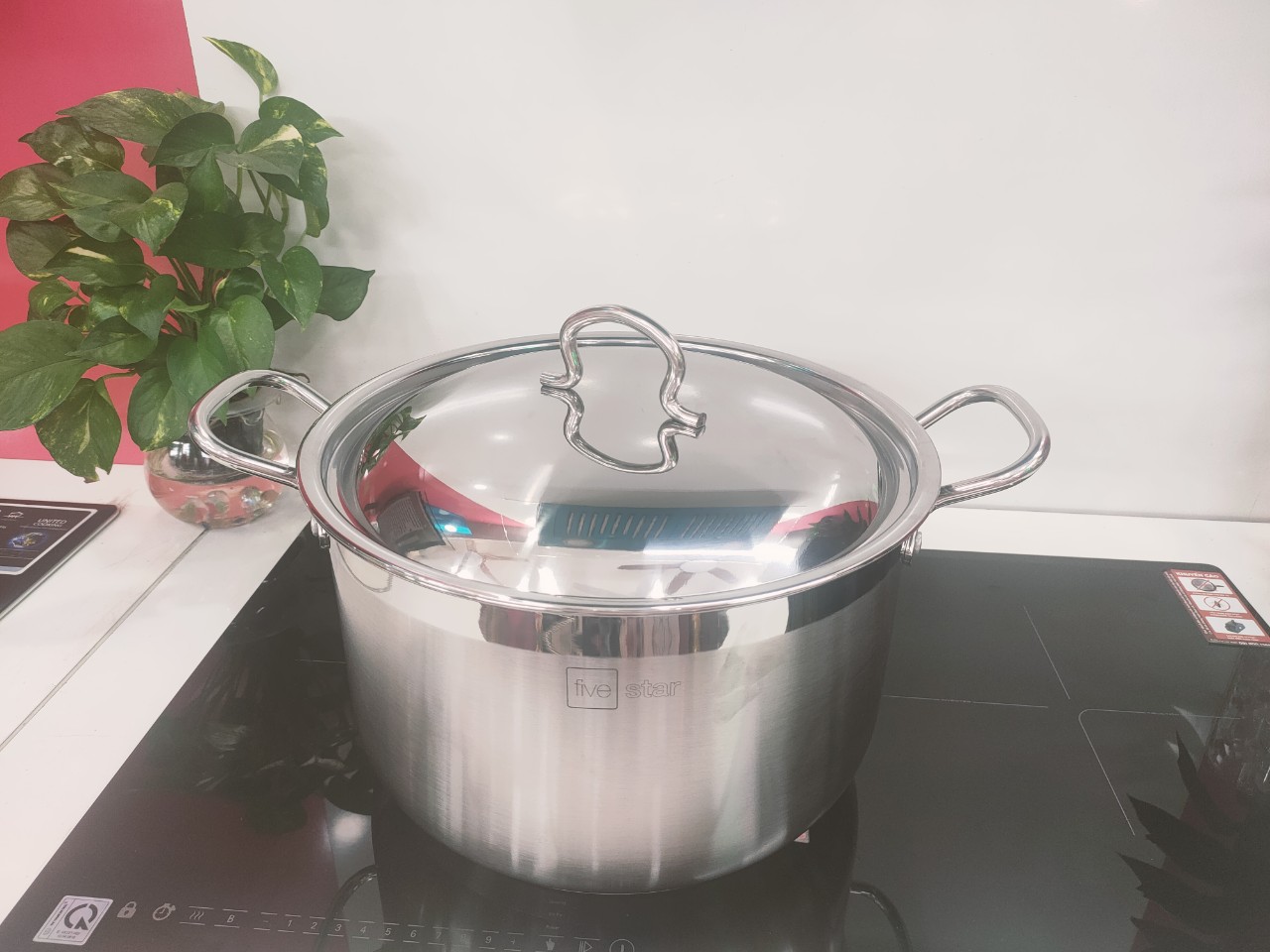 Nồi luộc gà Fivestar 30cm