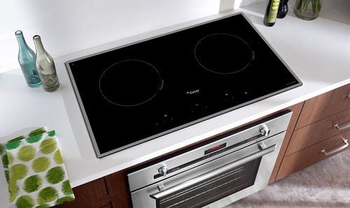 Bếp từ Canzy CZ 300-2SS