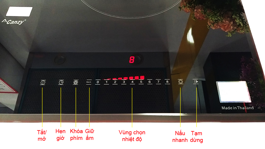 Bếp điện từ Canzy CZ 79DT