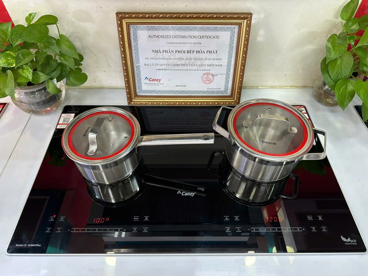 Bếp từ Canzy CZ - EU8807Plus ( New 2026 )