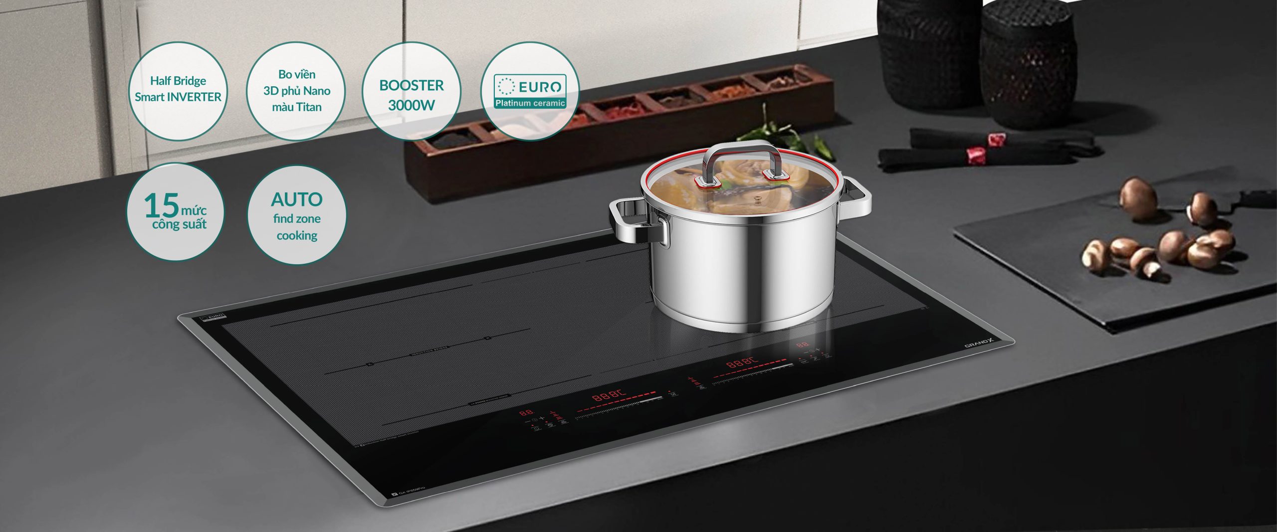 BẾP TỪ ĐÔI GRANDX- IP859PRO